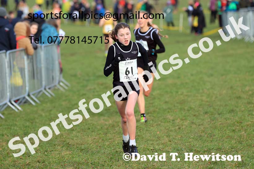Womens Under-17s 2024 Northern Cross Country Champs., Sedgefield. Photo: David T. Hewitson/Sports for All Pics